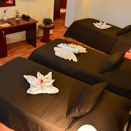Reina Hotel 3*