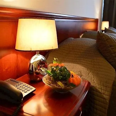 Reina Hotel Bukurešť